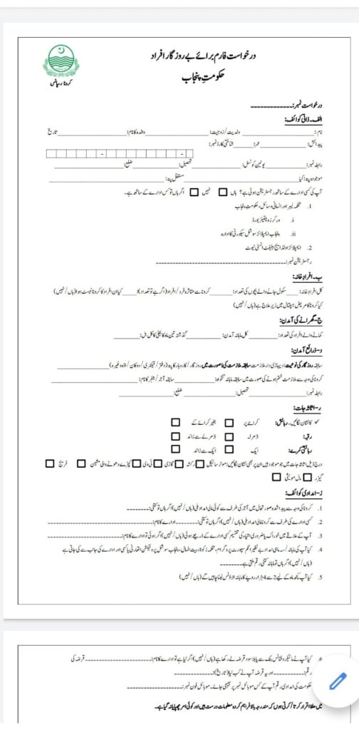 fake form for insaf imdad application form.