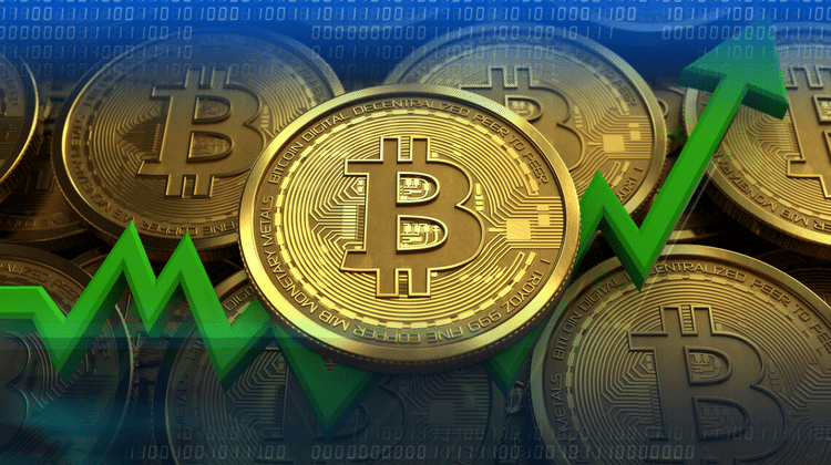 Bitcoin Basics: Decoding the Digital Gold Rush